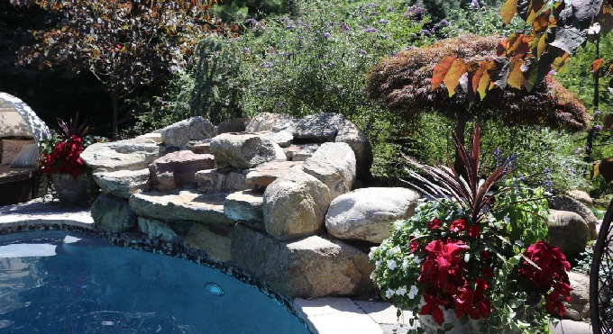 landscape_maintainence_service